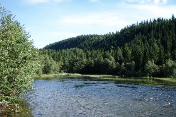 jezero