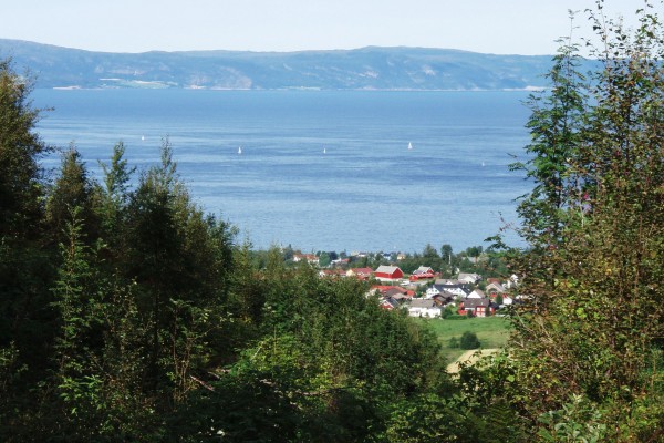 vyhled