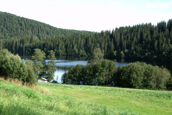 jezero2