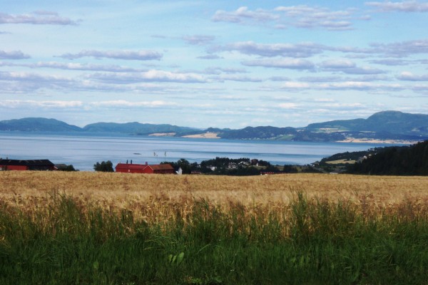 fjord