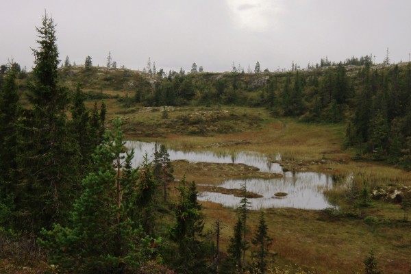 P8180003