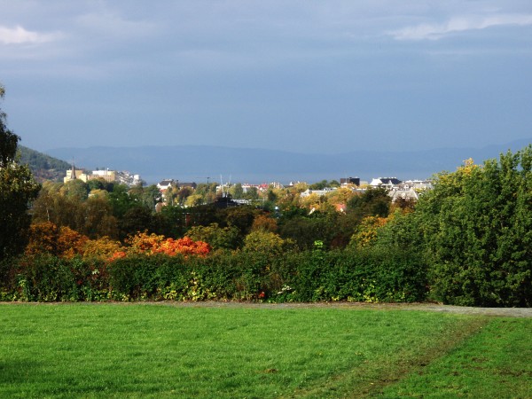 P9290029
